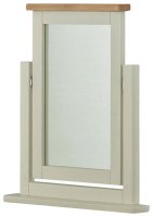 Portland Swing Mirror -5 Colours available