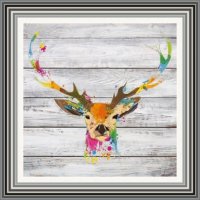 Colourful Stag Drawing