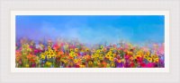 Colourful Field of Flowers with Blue Sky