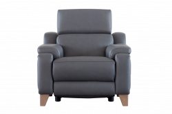 Evolution 1701 Armchair Power Recliner