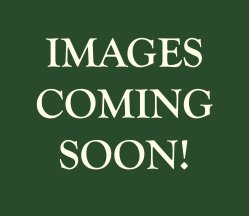 Qualita Upholstery Gela Swivel Armchair