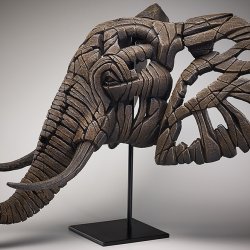 Elephant Bust