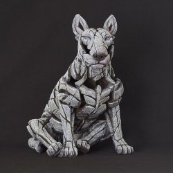 Bull Terrier White