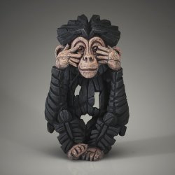 Baby Chimpanzee See no Evil