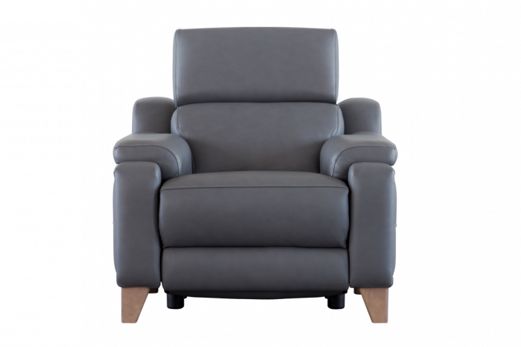 Evolution 1701 Armchair Power Recliner