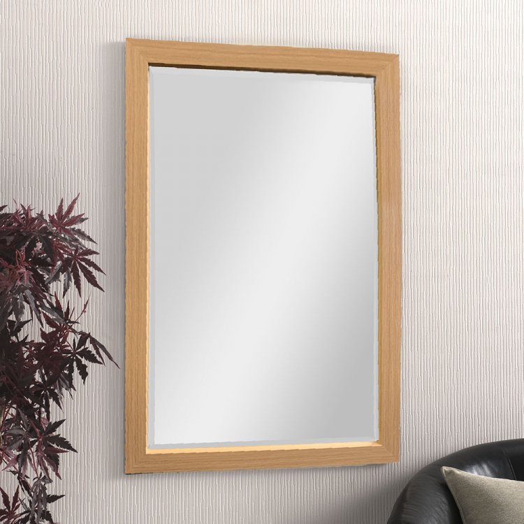 1372 Mirror